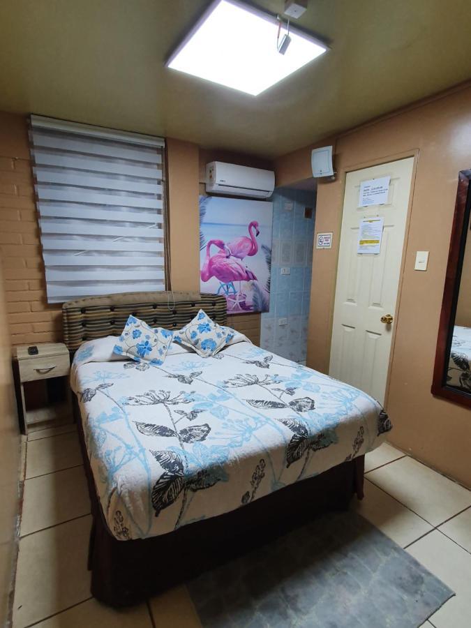 לה סרנה Hostal Mi Maravilla מראה חיצוני תמונה